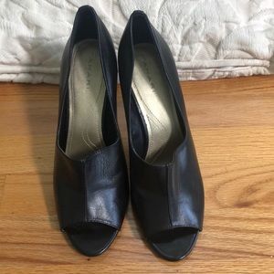 Great Pair of Shoe/Booties